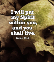 Click for high resolution graphic.