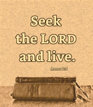 Click for high resolution graphic.