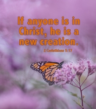 Click for high resolution graphic.