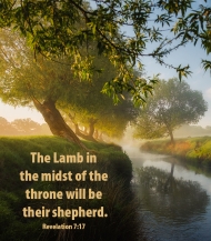 Click for high resolution graphic.